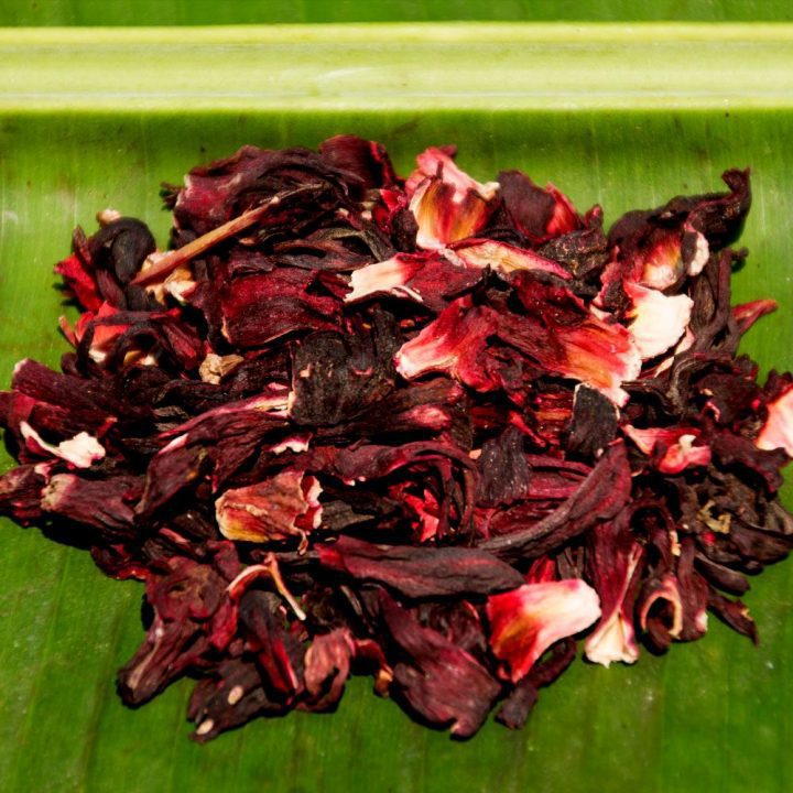 Hibiscus.