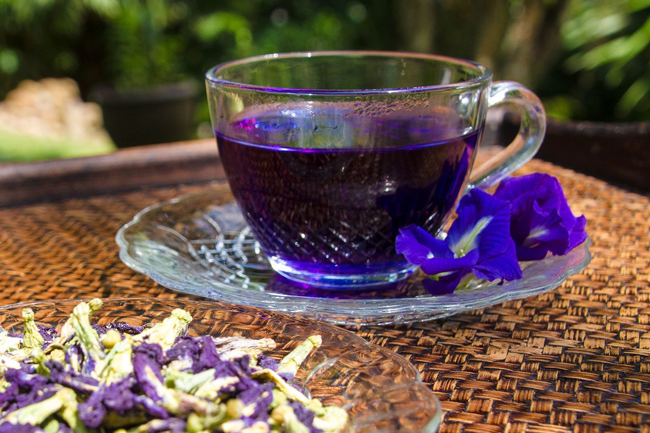 Clitoria ternatea, Butterfly pea tea