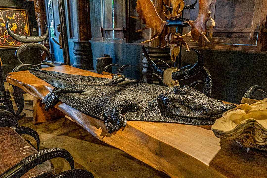 Baan Dan Back House crocodile table Baan Dan Back House crocodile table